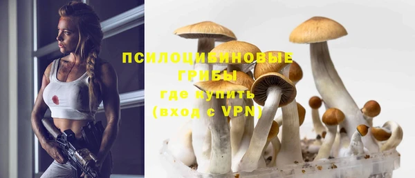 тгк Тихвин