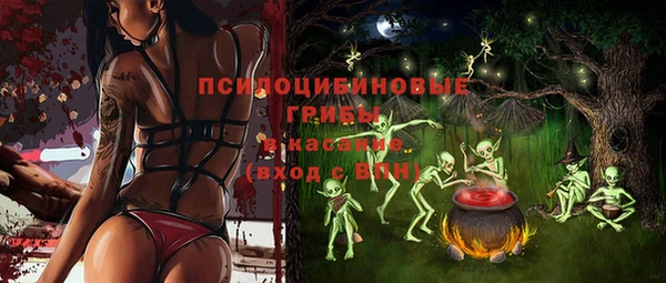 тгк Тихвин