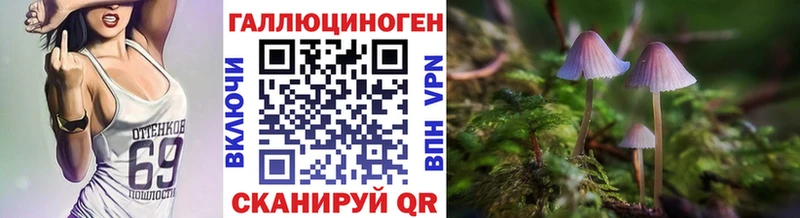 Галлюциногенные грибы прущие грибы  mega рабочий сайт  Завитинск  дарнет шоп 